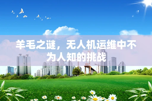 羊毛之谜，无人机运维中不为人知的挑战