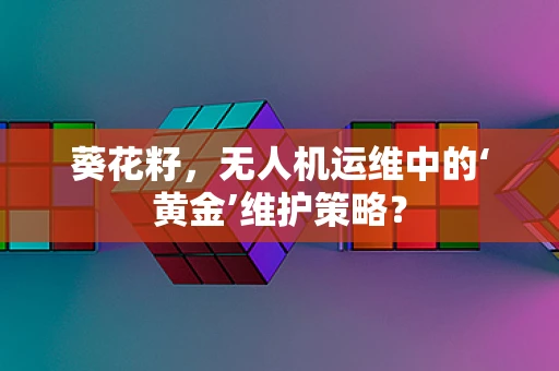 葵花籽，无人机运维中的‘黄金’维护策略？