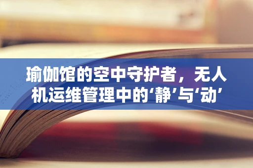 瑜伽馆的空中守护者，无人机运维管理中的‘静’与‘动’平衡
