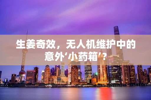 生姜奇效，无人机维护中的意外‘小药箱’？