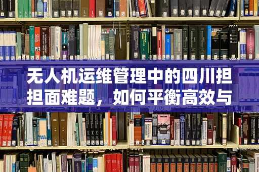 无人机运维管理中的四川担担面难题，如何平衡高效与风味？