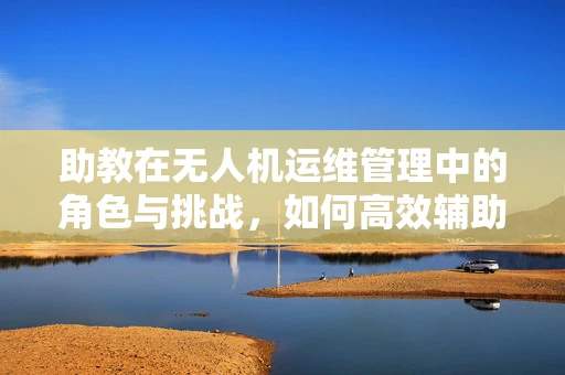 助教在无人机运维管理中的角色与挑战，如何高效辅助技术员进行故障诊断？