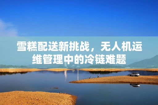 雪糕配送新挑战，无人机运维管理中的冷链难题