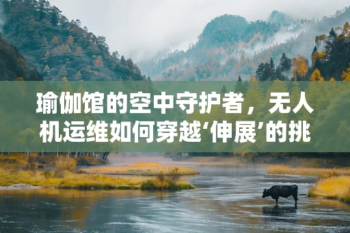 瑜伽馆的空中守护者，无人机运维如何穿越‘伸展’的挑战？