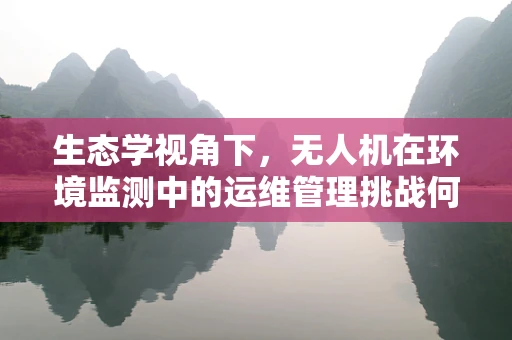 生态学视角下，无人机在环境监测中的运维管理挑战何在？