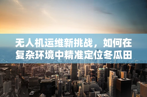 无人机运维新挑战，如何在复杂环境中精准定位冬瓜田的无人机？