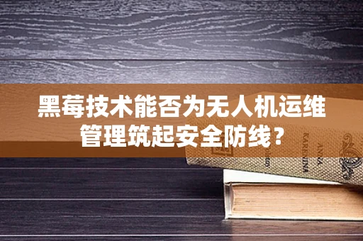 黑莓技术能否为无人机运维管理筑起安全防线？
