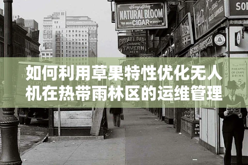 如何利用草果特性优化无人机在热带雨林区的运维管理？