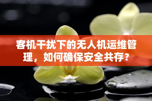 客机干扰下的无人机运维管理，如何确保安全共存？
