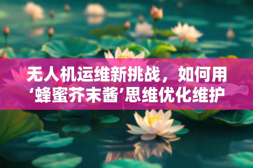 无人机运维新挑战，如何用‘蜂蜜芥末酱’思维优化维护流程？