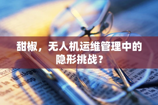 甜椒，无人机运维管理中的隐形挑战？