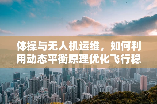 体操与无人机运维，如何利用动态平衡原理优化飞行稳定性？