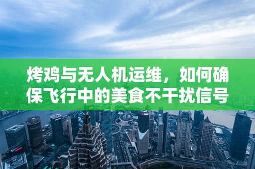 烤鸡与无人机运维，如何确保飞行中的美食不干扰信号？