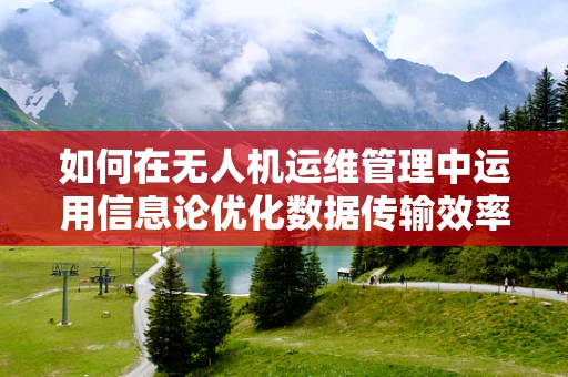 如何在无人机运维管理中运用信息论优化数据传输效率？