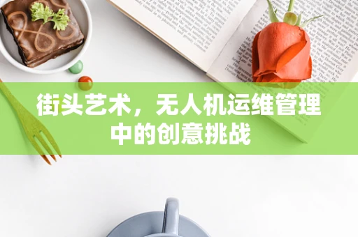 街头艺术，无人机运维管理中的创意挑战
