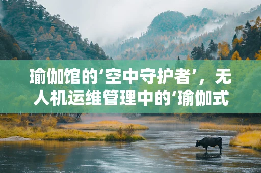 瑜伽馆的‘空中守护者’，无人机运维管理中的‘瑜伽式’平衡挑战