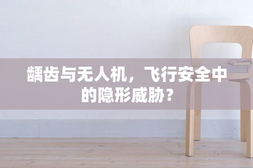 龋齿与无人机，飞行安全中的隐形威胁？
