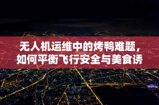 无人机运维中的烤鸭难题，如何平衡飞行安全与美食诱惑？