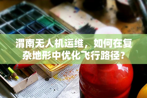 渭南无人机运维，如何在复杂地形中优化飞行路径？