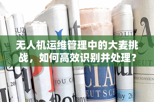 无人机运维管理中的大麦挑战，如何高效识别并处理？