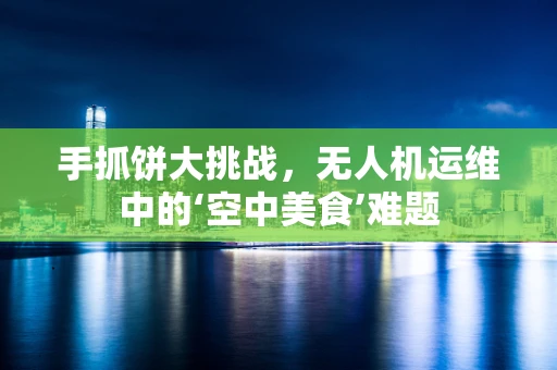 手抓饼大挑战，无人机运维中的‘空中美食’难题