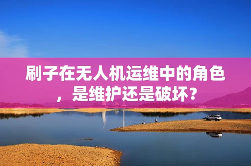 刷子在无人机运维中的角色，是维护还是破坏？