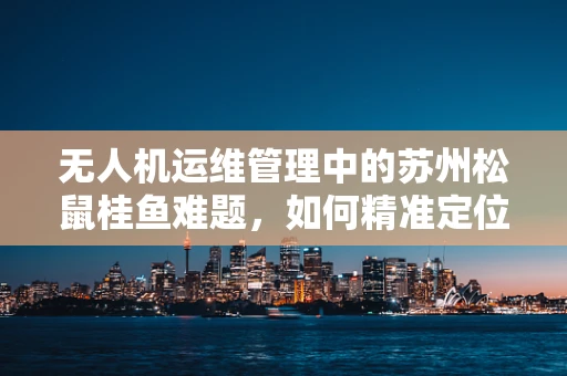 无人机运维管理中的苏州松鼠桂鱼难题，如何精准定位与高效追踪？