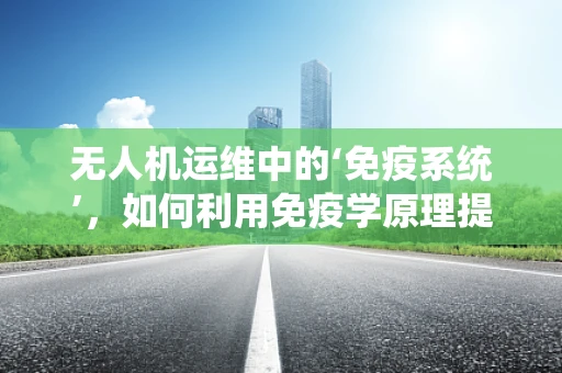 无人机运维中的‘免疫系统’，如何利用免疫学原理提升系统自愈能力？