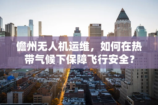儋州无人机运维，如何在热带气候下保障飞行安全？