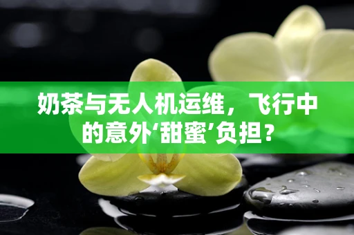 奶茶与无人机运维，飞行中的意外‘甜蜜’负担？
