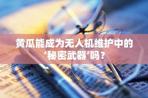 黄瓜能成为无人机维护中的‘秘密武器’吗？