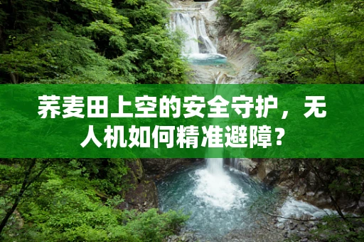 荞麦田上空的安全守护，无人机如何精准避障？