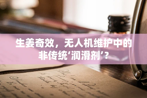 生姜奇效，无人机维护中的非传统‘润滑剂’？