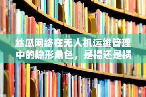 丝瓜网络在无人机运维管理中的隐形角色，是福还是祸？