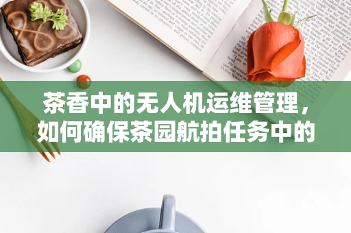 茶香中的无人机运维管理，如何确保茶园航拍任务中的设备安全？