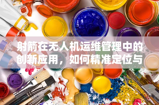射箭在无人机运维管理中的创新应用，如何精准定位与瞄准？