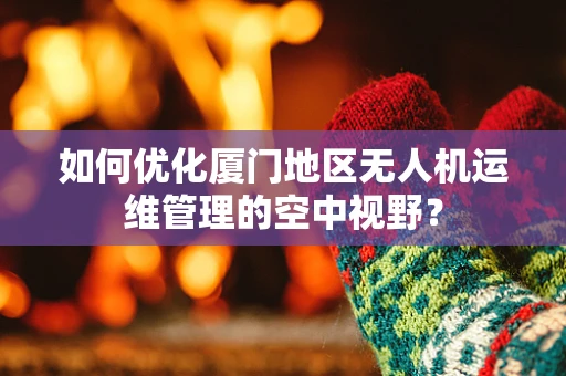 如何优化厦门地区无人机运维管理的空中视野？