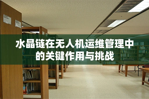 水晶链在无人机运维管理中的关键作用与挑战