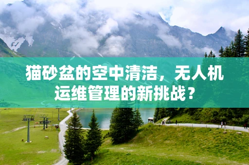 猫砂盆的空中清洁，无人机运维管理的新挑战？