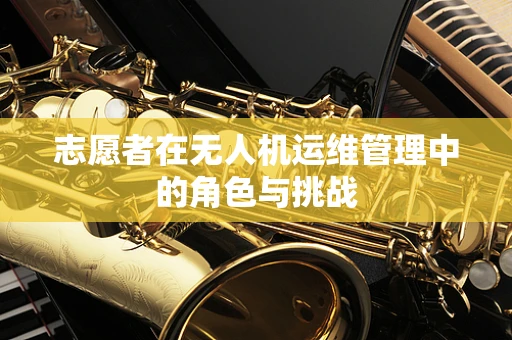 志愿者在无人机运维管理中的角色与挑战
