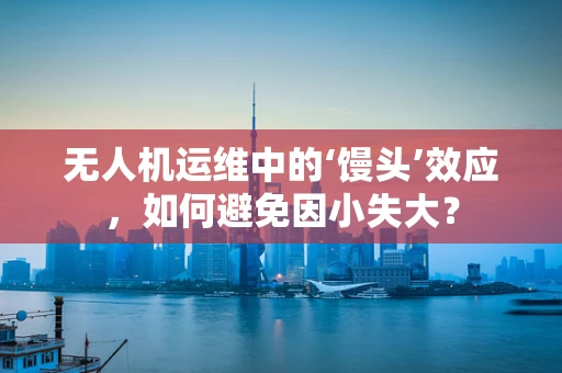 无人机运维中的‘馒头’效应，如何避免因小失大？
