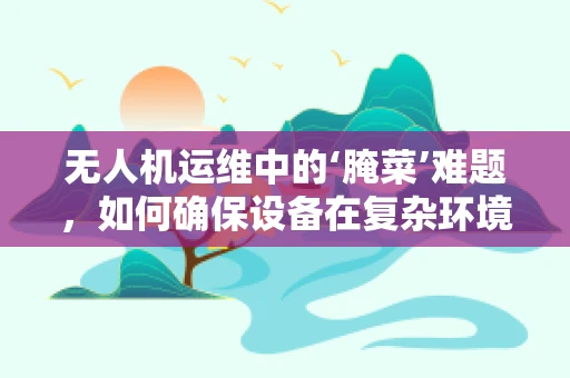 无人机运维中的‘腌菜’难题，如何确保设备在复杂环境下的稳定运行？