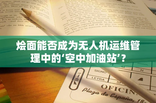 烩面能否成为无人机运维管理中的‘空中加油站’？