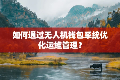 如何通过无人机钱包系统优化运维管理？