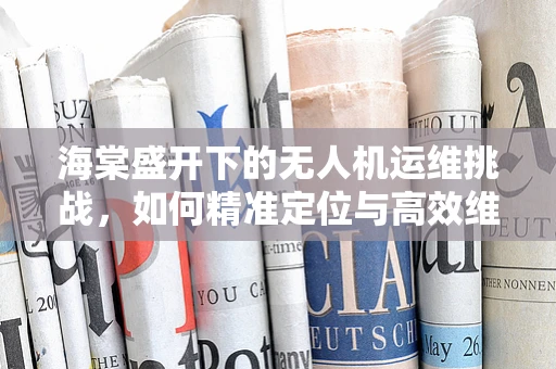 海棠盛开下的无人机运维挑战，如何精准定位与高效维护？