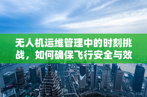 无人机运维管理中的时刻挑战，如何确保飞行安全与效率的平衡？