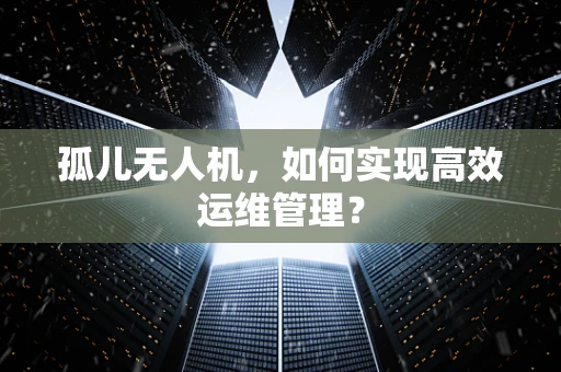 孤儿无人机，如何实现高效运维管理？