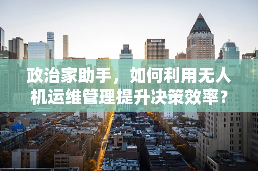 政治家助手，如何利用无人机运维管理提升决策效率？