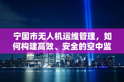 宁国市无人机运维管理，如何构建高效、安全的空中监控网络？