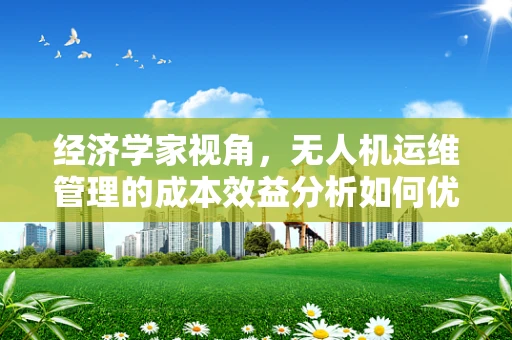 经济学家视角，无人机运维管理的成本效益分析如何优化？